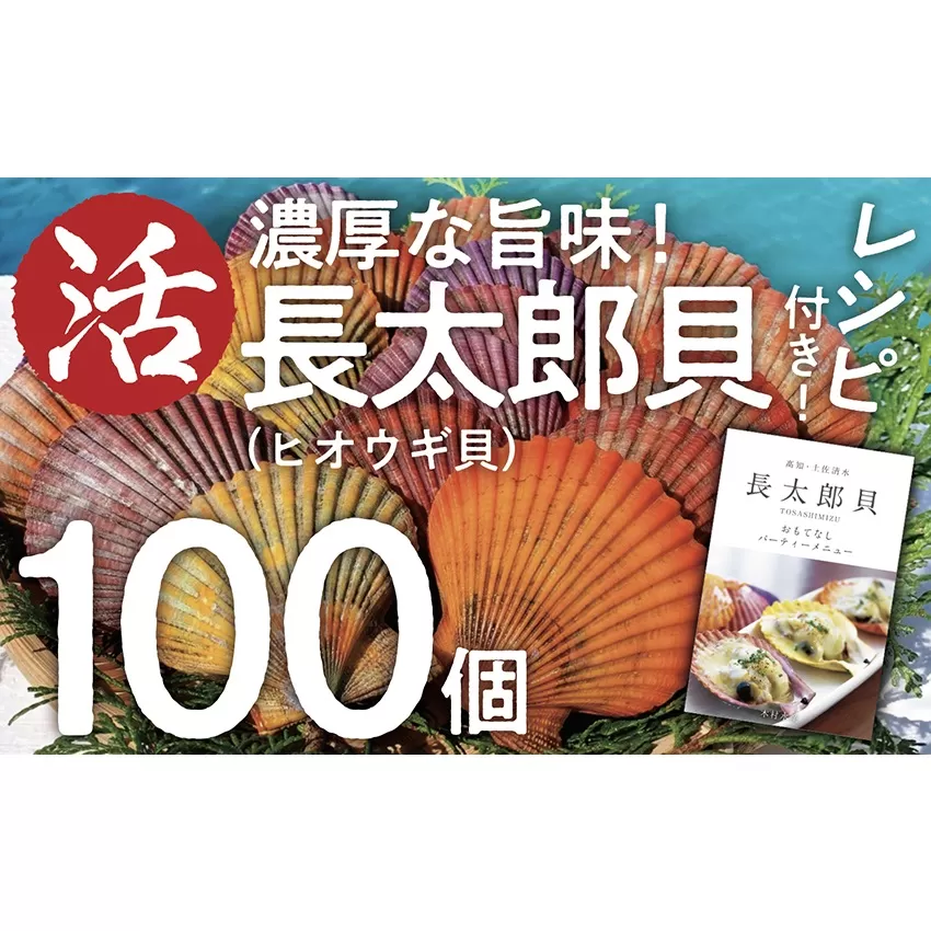 『先行予約』生け簀でお届けヒオウギ貝100個セットエアポンプ付（ホタテの仲間）アウトドア キャンプ 海鮮BBQ 魚貝 刺身 生 貝殻付 活 貝柱 酒蒸し バーベキュー【R00679】