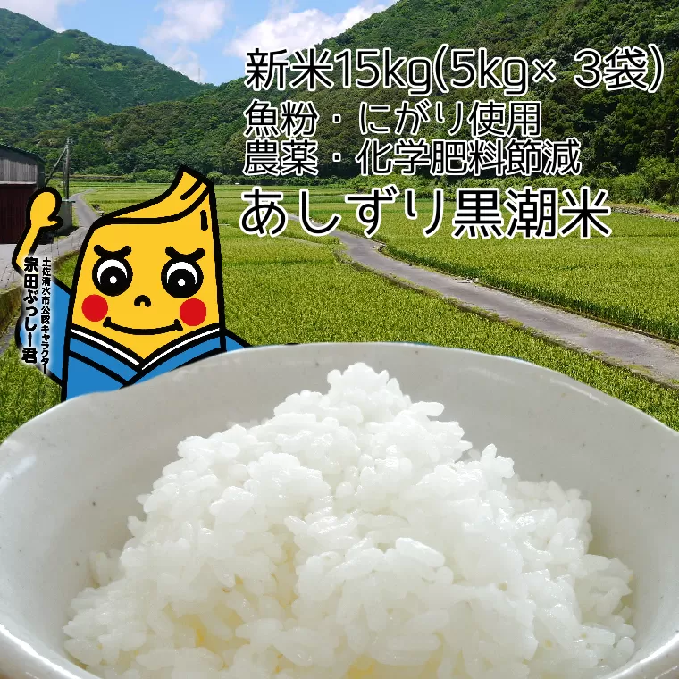 令和6年産 新米 あしずり黒潮米15kg（5kg×3袋）【コシヒカリ】精米 新米 白米 こめ コメ おコメ こしひかり ブランド米 15キロ 国産 送料無料 高知県 にがり【R01191】