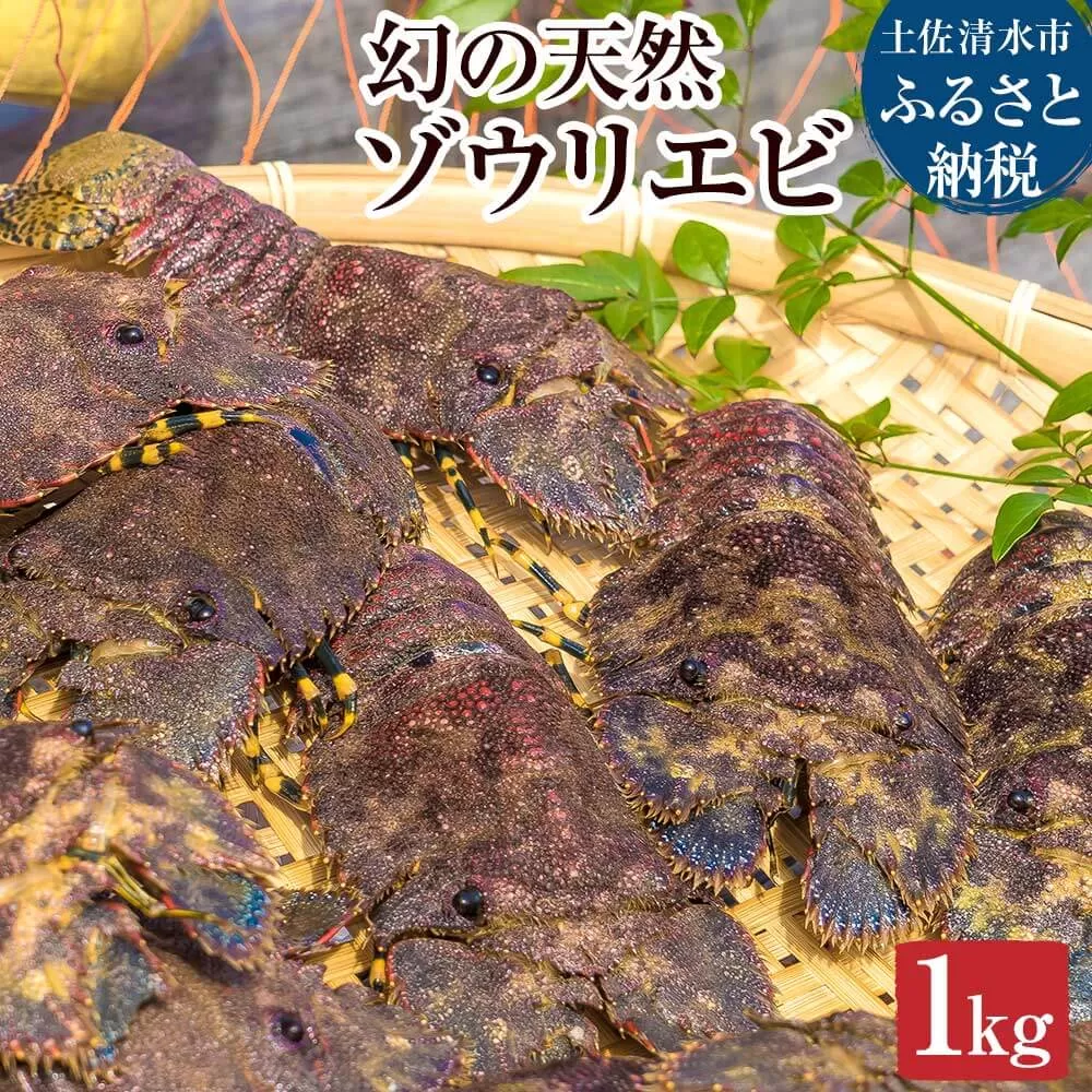 幻の天然ゾウリエビ１kg（サイズおまかせ）※着日指定不可※タビエビ 甲殻類 海老 地元ですら流通しない希少セミエビ科 高知県産 エビ ゾウリエビ 冷蔵 新鮮 美味しい 希少【R00620】