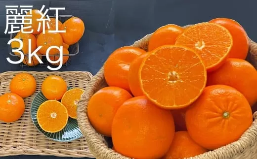 【先行予約】早川農園の麗紅（れいこう）３kg　みかん 柑橘 フルーツ 【R00233】