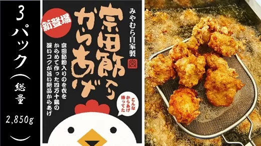 宗田節入りからあげ（冷凍950g）×３パック　揚げるだけ おつまみ お弁当 惣菜【R00481】