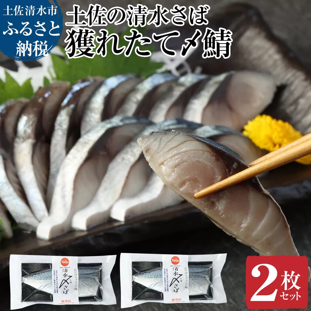 獲れたて土佐の清水さば　〆鯖２枚セット（ブランドゴマサバ・1枚あたり約170g〜210g）刺身 フィレ 寿司ネタ おつまみ【R00278】