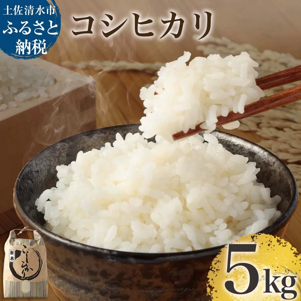 【先行予約】令和6年産 新米 コシヒカリ精米5kg（1袋）白米 お米 ご飯 米 kome こめ コシヒカリ こしひかり 高知県産 5キロ 故郷納税 返礼品 高知 土佐清水市【R01181】