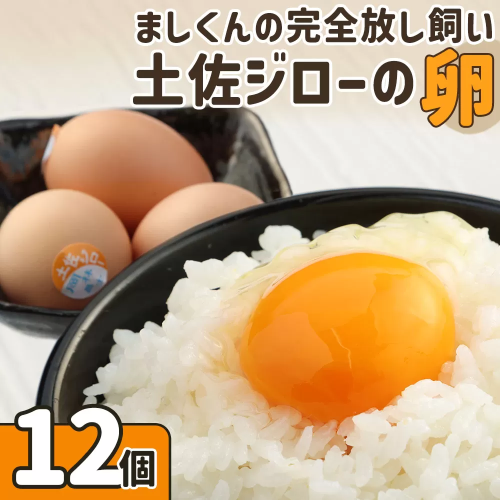 ましくんの完全放し飼い土佐ジローの卵（12個入り）もみ殻梱包 ブランド卵 タマゴ 玉子 たまご 生卵 鶏卵 土佐地鶏 濃厚 新鮮 食品 プレゼント ギフト 送料無料 【R00176】