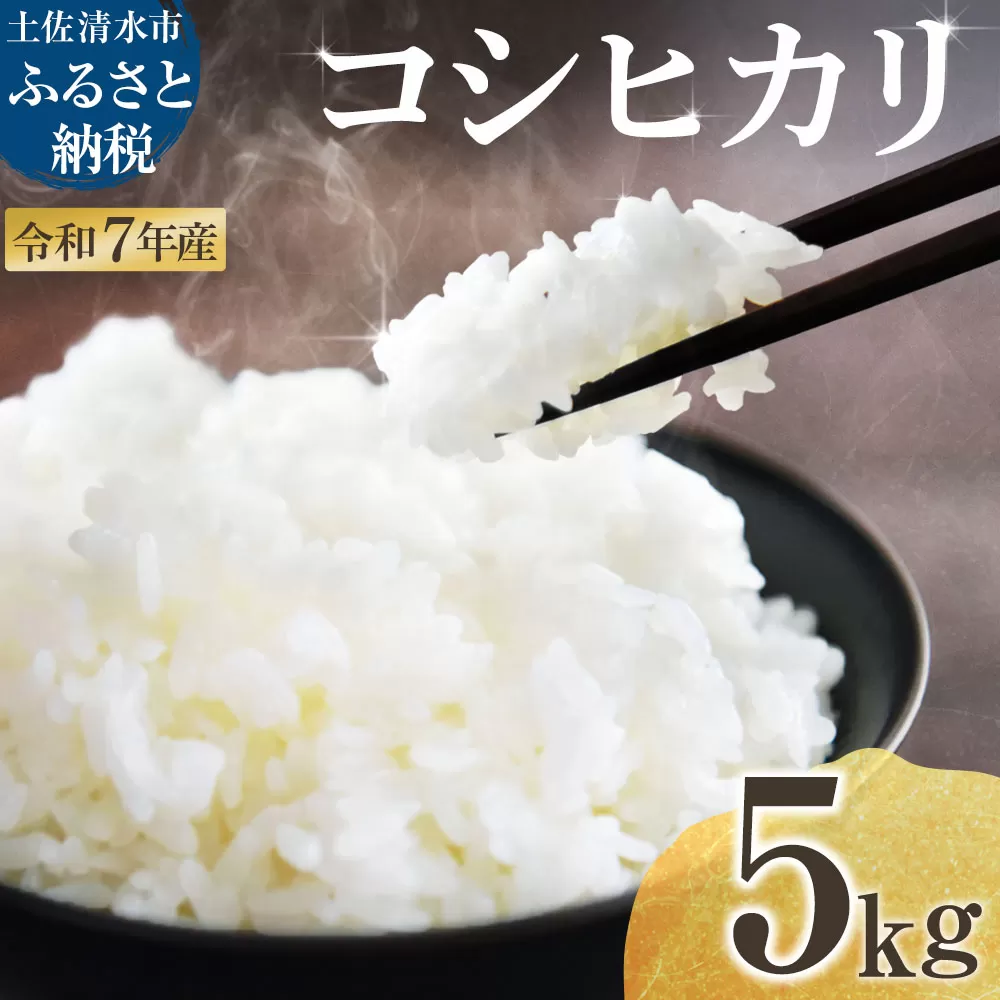 2025年8月より順次発送 令和7年産 新米 コシヒカリ 精米 5kg 白米 お米 ご飯 ごはん おにぎり 米 こめ こしひかり 高知県産 美味しい おいしい【R01359】