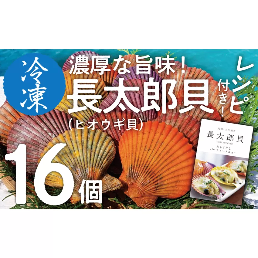 黒潮の恵 冷凍 ヒオウギ貝16個セット（ホタテの仲間）アウトドア キャンプ バーベキュー 魚貝 殻付 貝柱 酒蒸し 真空パック【R00803】