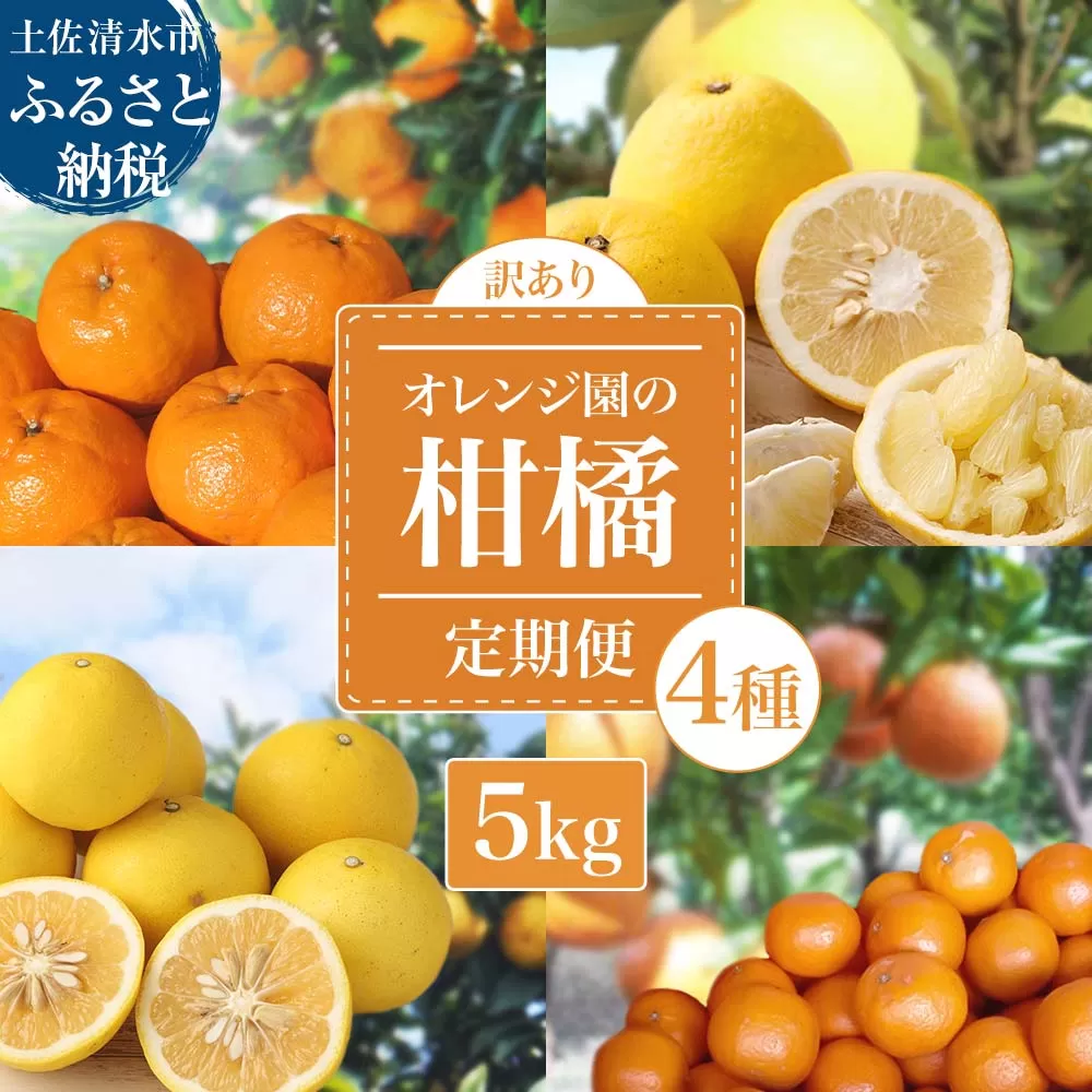 【先行予約 訳あり】 オレンジ園の柑橘4種（ぽんかん・文旦・タンカン・小夏）各5kg 4回定期便 ポンカン ぶんたん 果物 蜜柑 みかん ミカン 柑橘 フルーツ デザート 常温 配送【J00100】