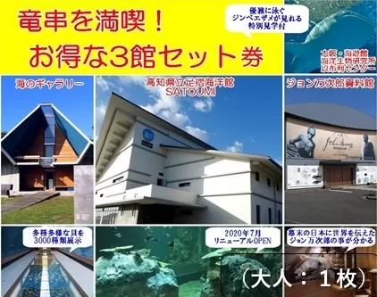 水族館・資料館・展示館　ぐるっと竜串　お得な3館入場券セット（大人１名用）高知県土佐清水市 観光チケット 旅行券 トラベル【R00107】