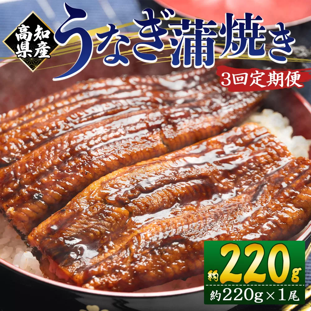 【３回定期便】高知県産養殖うなぎ蒲焼き 約220g×１尾  うなぎ 魚介 国産 海鮮 魚 かばやき 鰻 ウナギ 惣菜 おかず お手軽 加工品 加工食品 冷凍 Wfb-0058