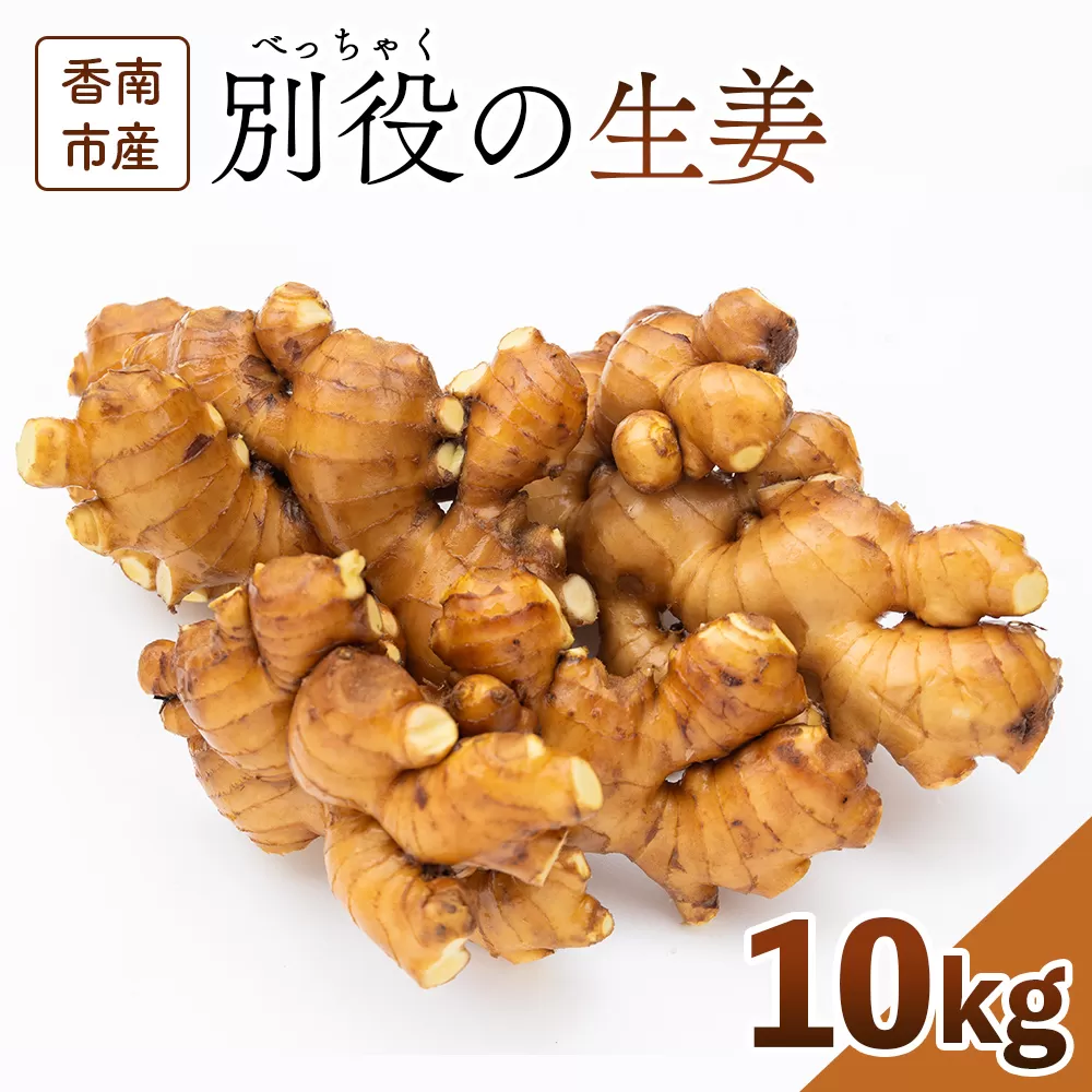 香南市産 別役の生姜 10kg - しょうが ショウガ ジンジャー 薬味 調味料 国産 株式会社べっちゃく 高知県 香南市 bc-0004