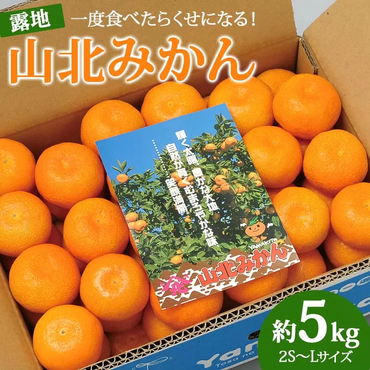 一度食べたらくせになる！高知県産 山北みかん 約5kg（露地栽培 2S〜Lサイズ）- 送料無料 果物 フルーツ 温州みかん ミカン 蜜柑 柑橘 甘い おいしい お取り寄せ ku-0024