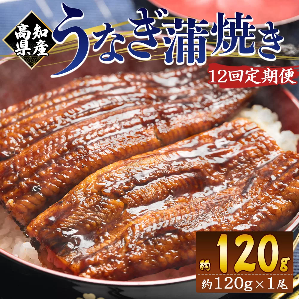 【１２回定期便】高知県産養殖うなぎ蒲焼き 100〜120g 1尾 うなぎ 魚介 国産 海鮮 魚 かばやき 鰻 ウナギ 惣菜 おかず お手軽 加工品 加工食品 冷凍 Wfb-0036