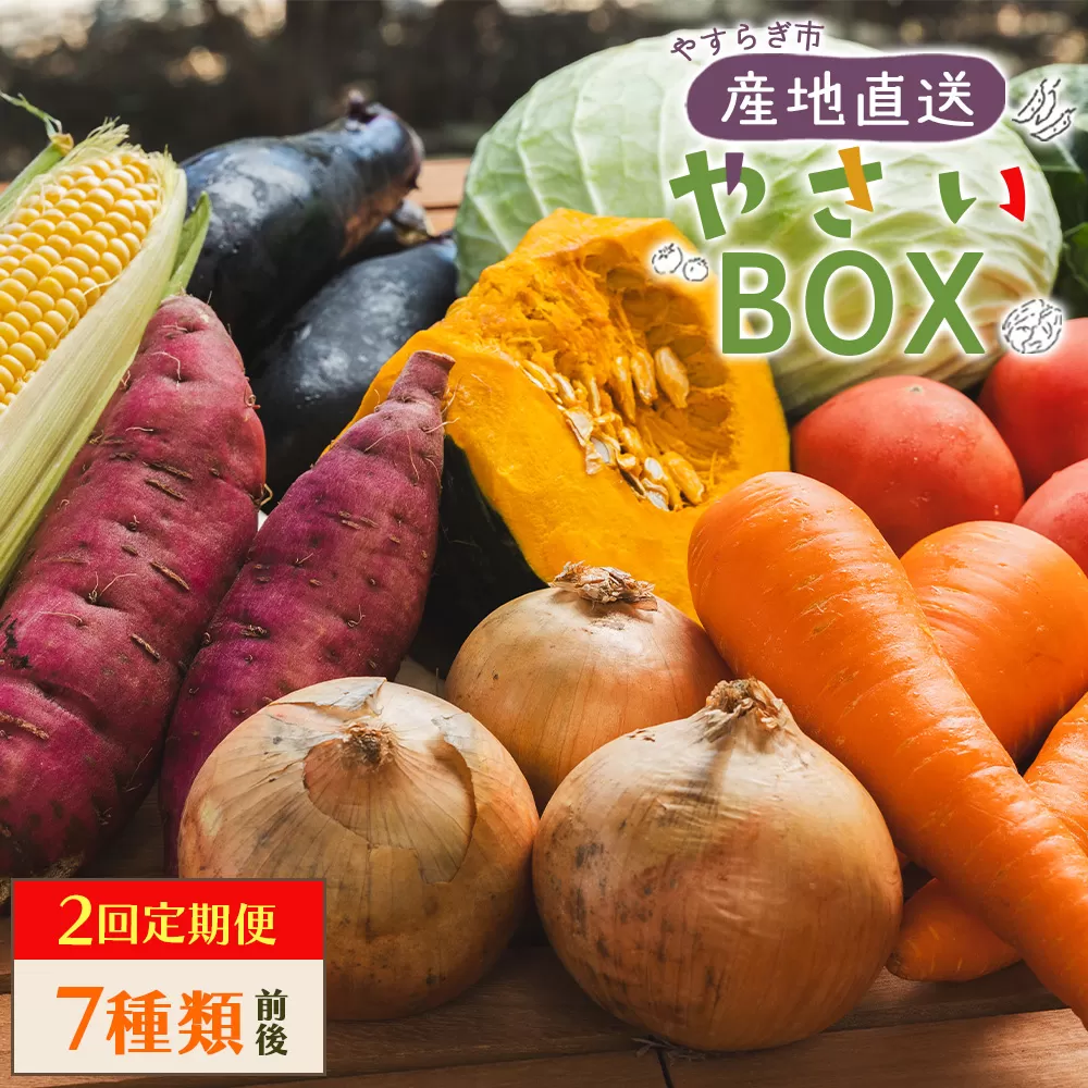 【２回定期便】やすらぎ市 産地直送やさいＢＯＸ（7種類前後） - 野菜 ベジタブル おまかせ 詰め合わせ セット 季節 旬 お任せ お楽しみ ヘルシー 国産 特産品 送料無料 やすらぎ市 高知県 香南市 Wyr-0034