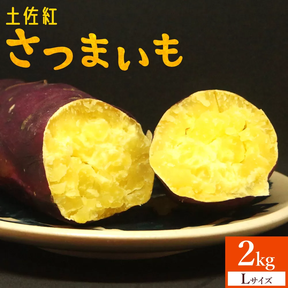 さつまいも(土佐紅) Lサイズ 2kg- サツマイモ さつま芋 野菜 焼き芋 やきいも 焼いも 蒸し芋 おやつ スイーツ スイートポテト 国産 アスタ農園 高知県 香南市[常温] at-0004