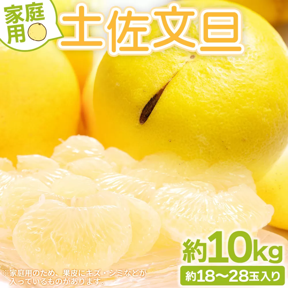 土佐文旦 家庭用 10kg 大小混合(L〜3L) 約18〜28玉入り - 果物 フルーツ 柑橘 ぶんたん ブンタン おいしい 送料無料 特産品 期間限定 山北みらい 高知県 香南市 常温 yk-0039