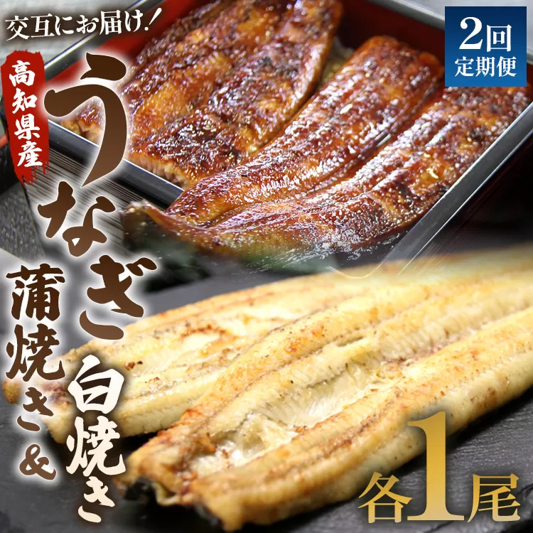 うなぎ 定期便 2回 うなぎ蒲焼き&白焼き120g 1尾(無頭) 交互にお届け 魚介 国産 海鮮 魚 かばやき 鰻 ウナギ 惣菜 おかず お手軽 加工品 加工食品 冷凍 しらやき セット 食べ比べ Wun-0043