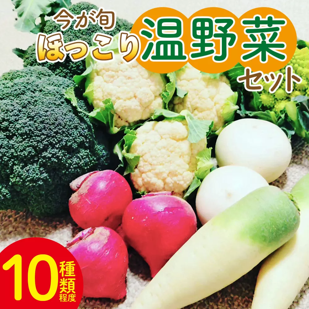 今が旬 ほっこり温野菜セット お野菜詰め合わせ 朝採れ 朝採り 新鮮 お手軽 簡単調理 ブロッコリー 人参 にんじん ニンジン カリフラワー 大根 だいこん かぶ カブ 鍋 炒め 蒸し 無農薬 産地直送 特産品 旬彩ファームやまさき 高知県 香南市【常温】sy-0006