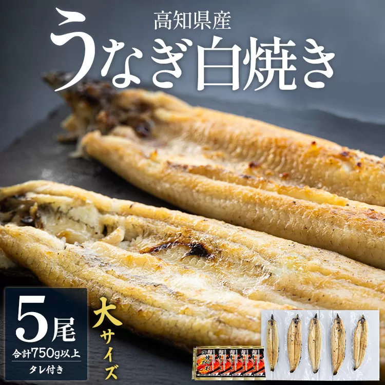 高知県産うなぎの白焼き 大サイズ 5尾(合計750g以上)タレ付き - 送料無料 鰻 ウナギ 晩ご飯 夕飯 おかず 魚 肴 おつまみ 国産 贈答用 贈り物 吉川水産 高知県 香南市 yw-0068