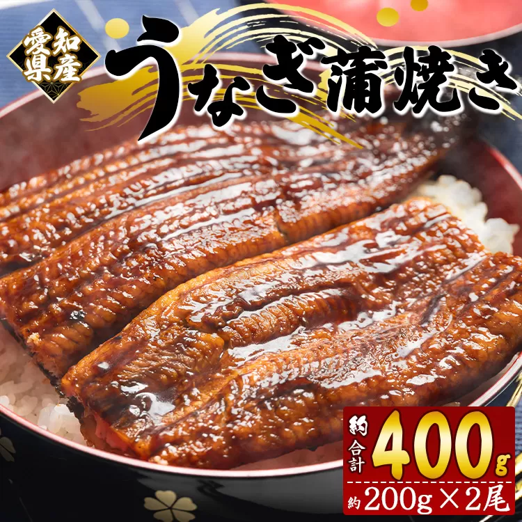 愛知県産 養殖うなぎ蒲焼き 2尾（合計約400g）- 鰻 ウナギ かばやき 蒲焼 土用の丑の日 スタミナ ご飯のお供 夕飯 有頭 おつまみ うな丼 うな重 送料無料 パック ご飯 ごはん おこわ ひつまぶし 混ぜるだけ 一品 真空 二尾 タレ付き たれ お歳暮 お中元 御中元 お礼 御礼 感謝 記念日 お返し 贅沢 ぜいたく 高級 ご褒美 ごほうび 美味しい おいしい 食べ物 夏季 お取り寄せ グルメ 特産品 フジ物産 高知県 香南市 冷凍 fb-0020