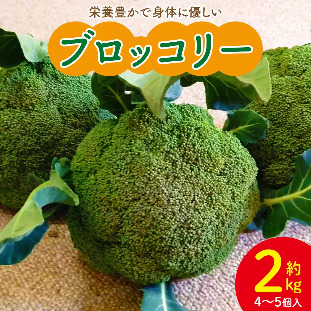 栄養豊かで身体に優しいブロッコリー 約2kg 4〜5個入り - 野菜 やさい 産地直送 国産 旬 朝採れ 新鮮 サラダ スープ シチュー 弁当 おかず 便利 料理 簡単調理 冷凍保存可 高知県 香南市 常温 sy-0010