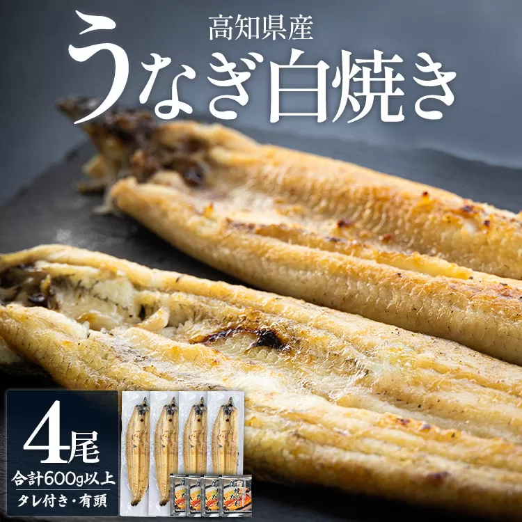 高知県産うなぎの白焼き 4尾 合計600g以上（1尾150〜180g）タレ付き エコ包装 - 鰻 ウナギ 有頭 つまみ ごはんのお供 ご飯 簡易包装 家庭用 老舗 国産 香南市 yw-0059