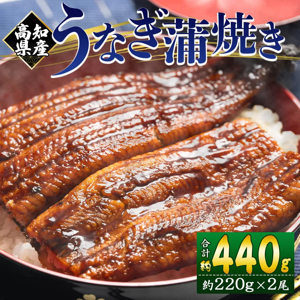 国産養殖うなぎ蒲焼き 2尾(合計約440g)高知県産鰻 - 鰻 ウナギ かばやき 蒲焼 土用の丑の日 スタミナ 夕飯 有頭 約220g おかず おつまみ うな丼 うな重 丼ぶり 丼物 さかな 肴 夕飯 夕食 朝食 お酒 グルメ 美味しい おいしい タレ付き たれ おいしい 美味しい ひつまぶし 丼ぶり 贅沢 ぜいたく お取り寄せ おとりよせ パック お祝い 内祝い 御礼 お礼 お歳暮 うなぎ大好き お礼 御礼 挨拶 あいさつ 贈り物 送料無料 高知県 香南市 冷凍 fb-0012