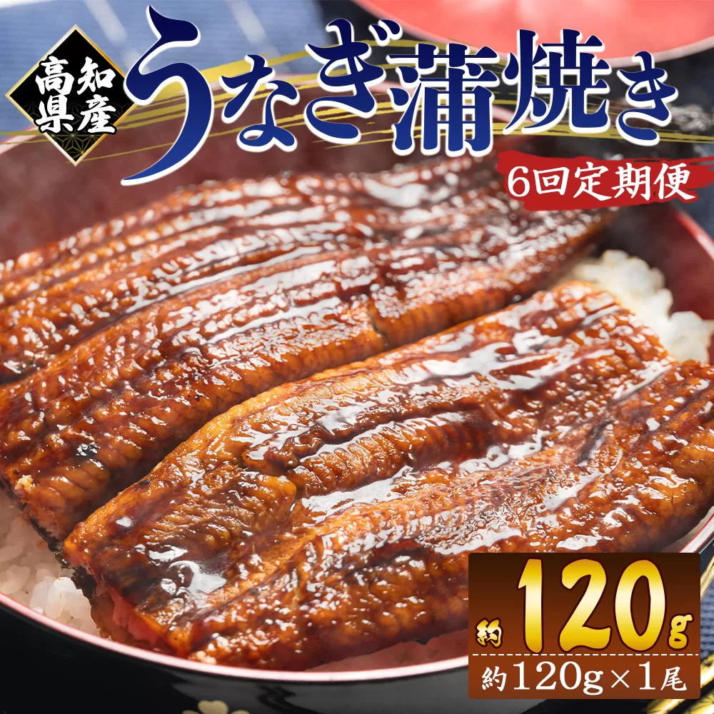 【６回定期便】高知県産養殖うなぎ蒲焼き 100〜120g 1尾 うなぎ 魚介 国産 海鮮 魚 かばやき 鰻 ウナギ 惣菜 おかず お手軽 加工品 加工食品 冷凍 Wfb-0035