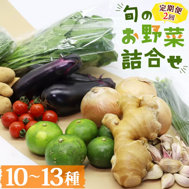 定期便2回コース 高知県香南市産 旬のお野菜詰合せ(10〜13品目) - 送料無料 10〜13種類 やさい 季節の野菜 新鮮 お楽しみ おたのしみ おまかせ 詰め合わせ セット 土佐野菜 新鮮 国産 高知県 香南市 プライム Wpr-0018