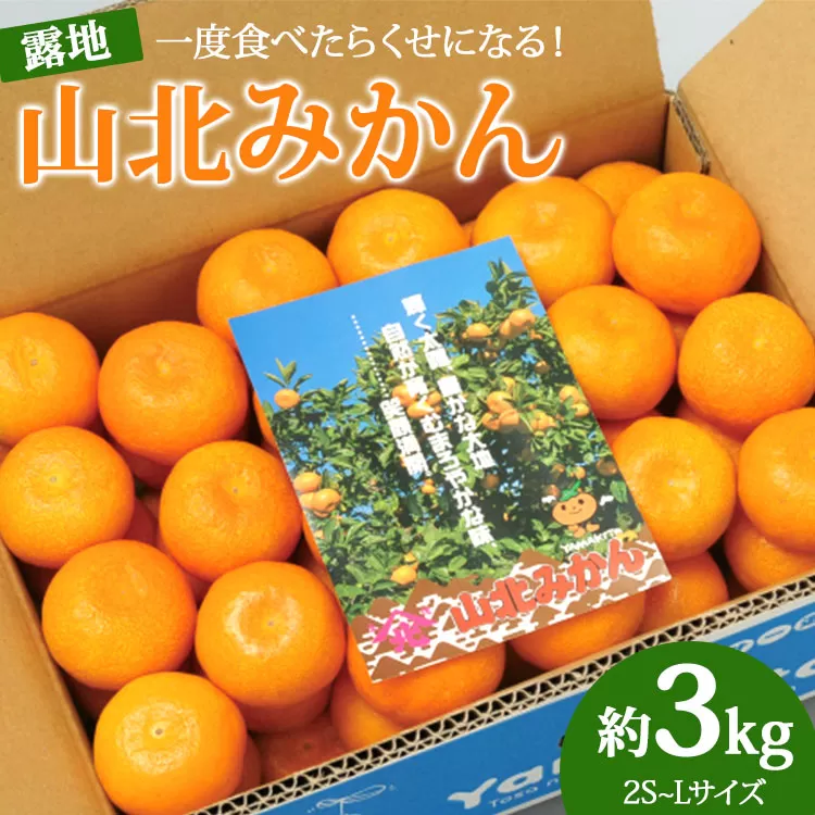 一度食べたらくせになる！高知県産 山北みかん 約3kg（露地栽培 2S〜Lサイズ）- 送料無料 果物 フルーツ 温州みかん ミカン 蜜柑 柑橘 甘い おいしい お取り寄せ ku-0019