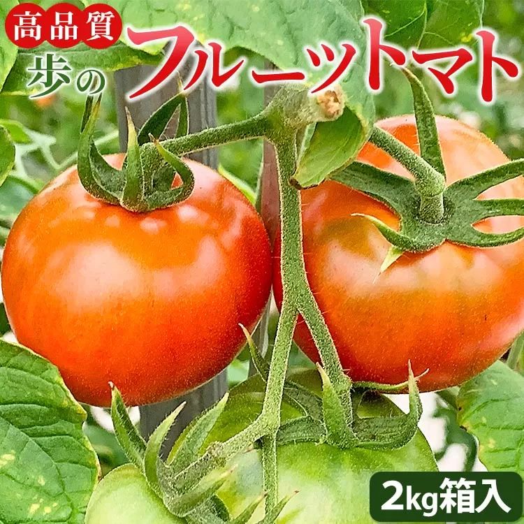 高品質!歩のフルーツトマト 約2kg 箱入り 先行予約 - 野菜 とまと 数量限定 贈答用 贈り物 ギフト 御礼 お礼 料理 アレンジ 完熟 甘い 期間限定配送 期日指定不可 のし対応可 箱入り おすそ分け 箱 フレッシュ さっぱり 酸味 糖度 新鮮 プチギフト プレゼント 美味しい おいしい 生食 そのまま 丸ごと トマトソース 高知県 香南市 冷蔵 ga-0005