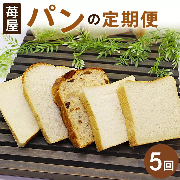 【5か月定期便】苺屋 食パンの定期便 5回 - 送料無料 しょくぱん お楽しみ 食べ比べ こだわり レーズン 酒粕 白玉糖 贈り物 ギフト 贈答 朝食 おやつ ベーカリー パン好き Wit-0071