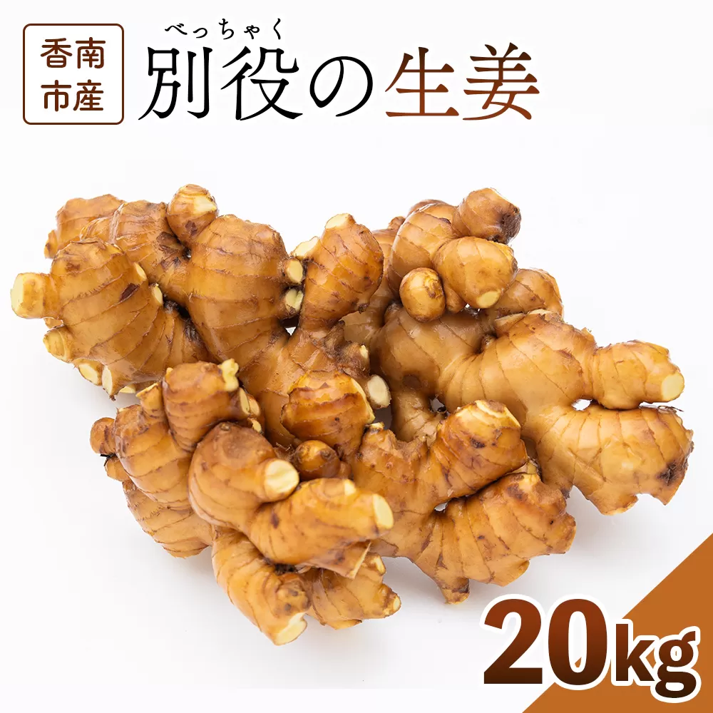 香南市産 別役の生姜 20kg - しょうが ショウガ ジンジャー 薬味 調味料 国産 株式会社べっちゃく 高知県 香南市 bc-0011