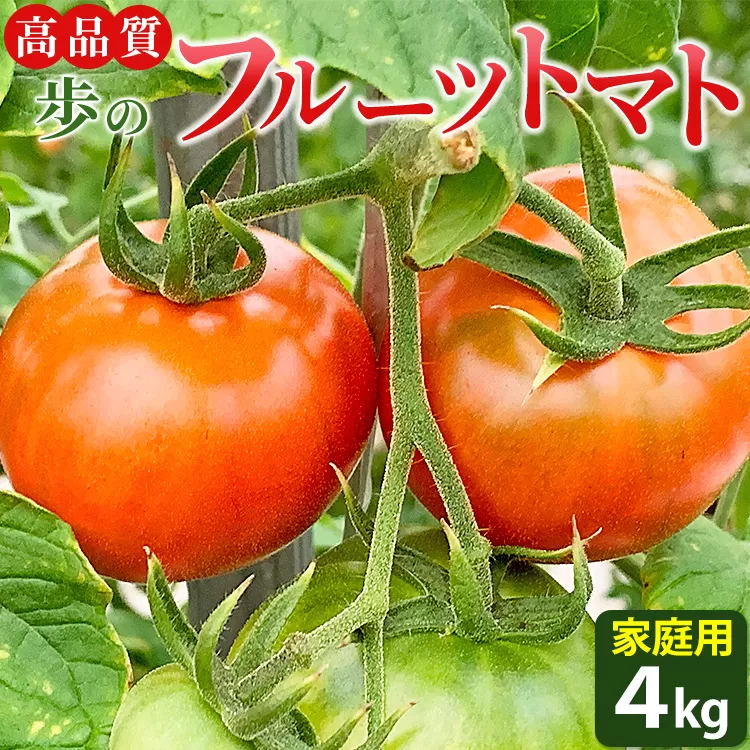 高品質! 歩の フルーツトマト 家庭用 トマト 4kg - とまと 完熟 訳あり 訳アリ 野菜 やさい フレッシュ 料理 アレンジ 高知県 香南市 常温 冷蔵 ga-0006