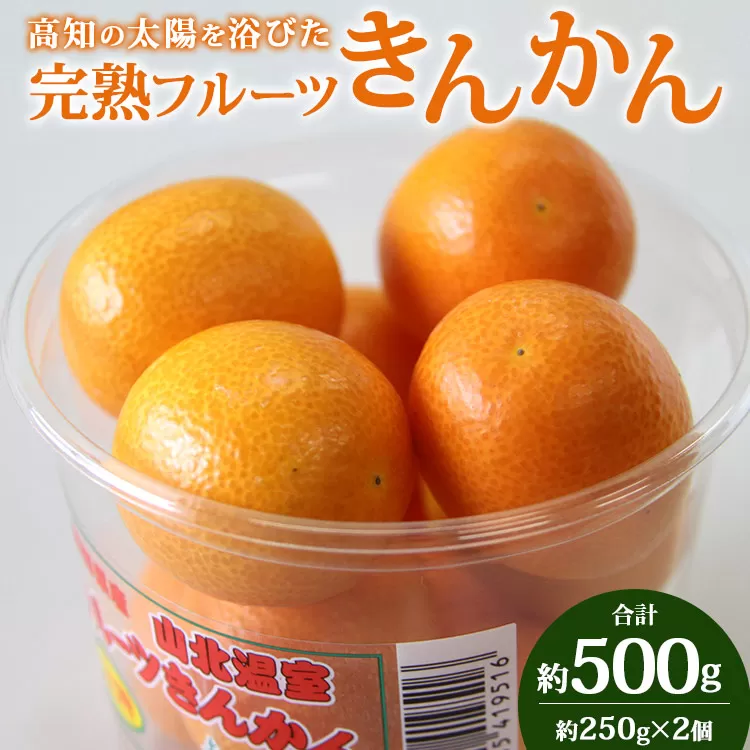 高知の太陽を浴びた完熟フルーツきんかん 合計約500g(250g×2パック)- 果物 フルーツ キンカン 金柑 柑橘 期間限定 数量限定 ku-0020