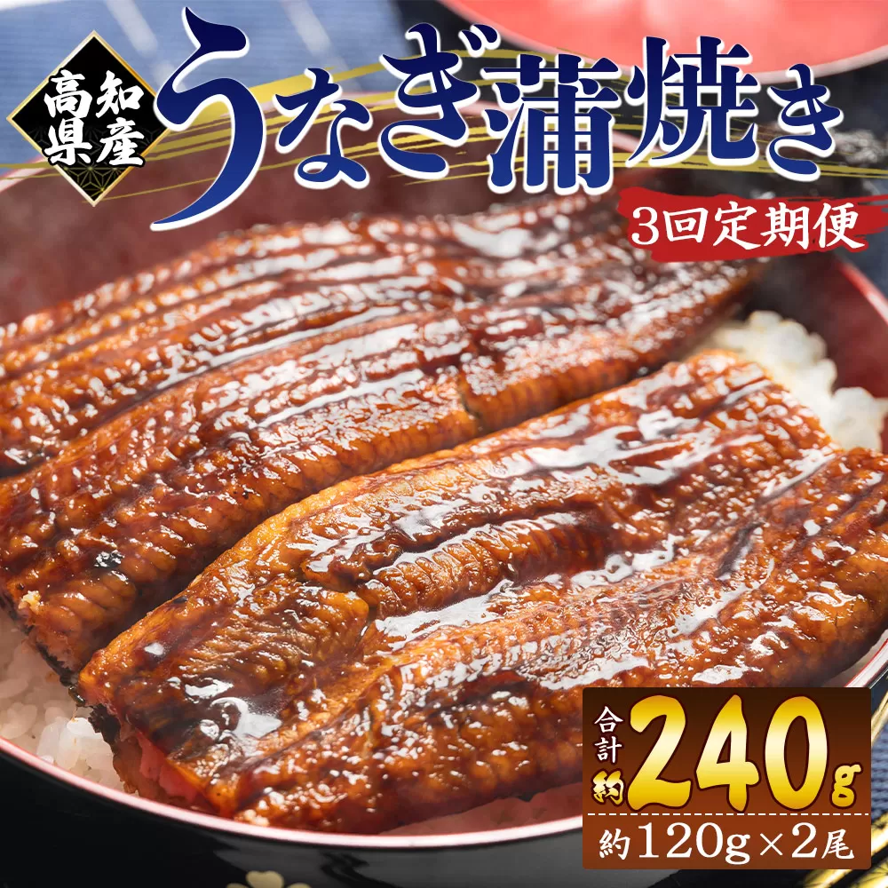 【３回定期便】高知県産養殖うなぎ蒲焼き 100〜120g 2尾 うなぎ 魚介 国産 海鮮 魚 かばやき 鰻 ウナギ 惣菜 おかず お手軽 加工品 加工食品 冷凍 Wfb-0038