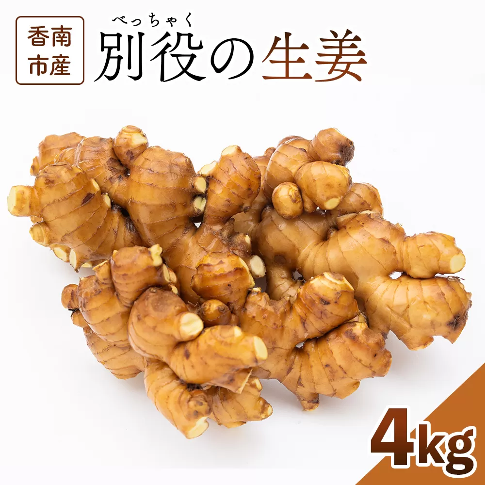 香南市産 別役の生姜 4kg - しょうが ショウガ ジンジャー 薬味 調味料 国産 株式会社べっちゃく 高知県 香南市 bc-0002