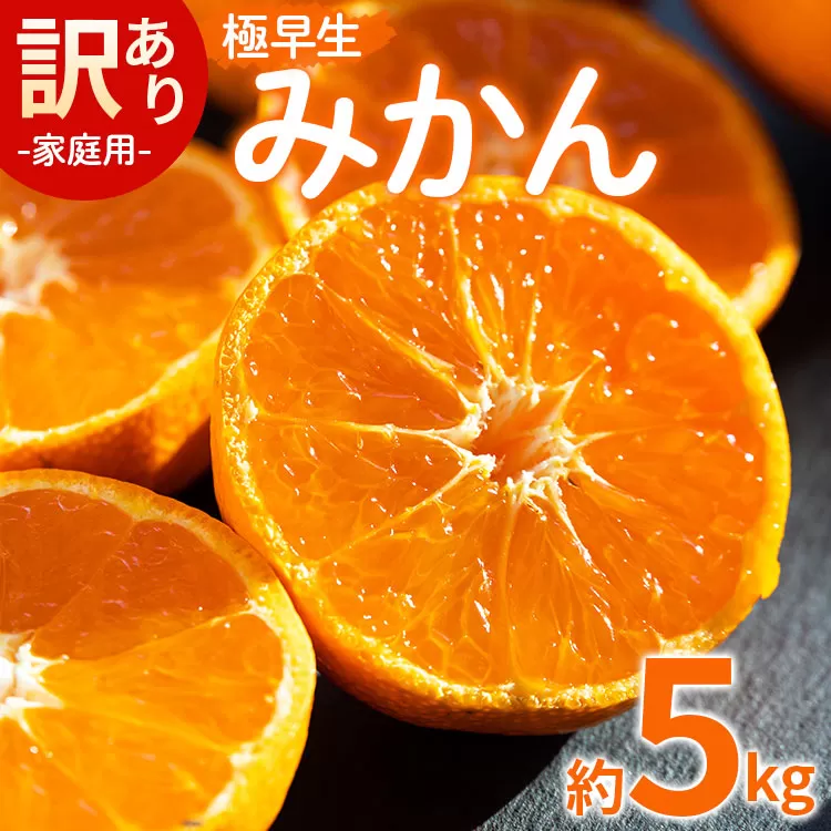 家庭用 訳あり 極早生みかん 約5kg - 送料無料 訳アリ フルーツ 果物 くだもの 果実 甘い あまい 酸味 蜜柑 ミカン 柑橘 ご自宅用 旬 季節 オレンジ みずみずしい フレッシュ ジューシー 果汁 爽やか さわやか ごくわせ 早生 わせ お取り寄せ おとりよせ 皮 傷 キズ 箱 ジャム ジュース ママレード マーマレード おいしい 美味しい かなや農園 合同会社Benifare 国産 特産品 高知県 香南市 常温 be-0024