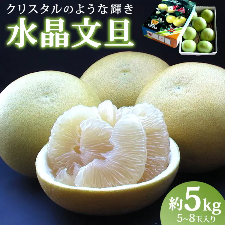 先行予約受付!高知県香南市産 水晶文旦 約5kg(5玉〜8玉入り)- 送料無料 果物 くだもの フルーツ 柑橘 ブンタン ぶんたん みずみずしい デザート 期間限定 おすそ分け 贈答 高知県 香南市 ku-0034