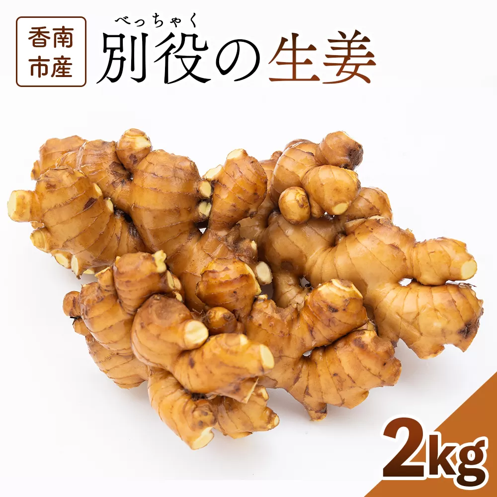 香南市産 別役の生姜 2kg - しょうが ショウガ ジンジャー 薬味 調味料 国産 株式会社べっちゃく 高知県 香南市 bc-0001