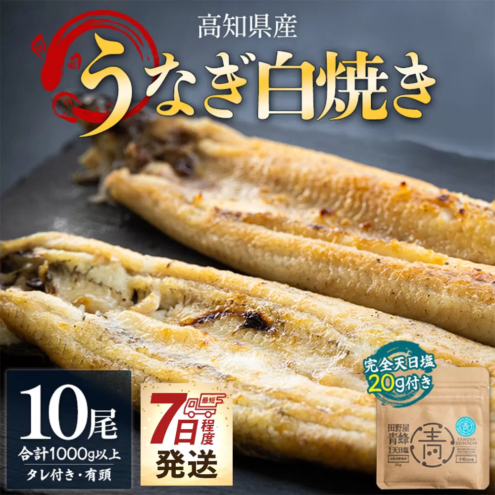 【7日程度で発送】国産うなぎ 高知県産 白焼き 10尾(100〜110g×10尾) 合計1kg以上 田野町完全天日塩 20g付き - 鰻 ウナギ 有頭 つまみ 蒲焼きのたれ タレ付き ご飯のお供 黒箱 老舗 国産 吉川水産 高知県 香南市 冷凍 yw-0087