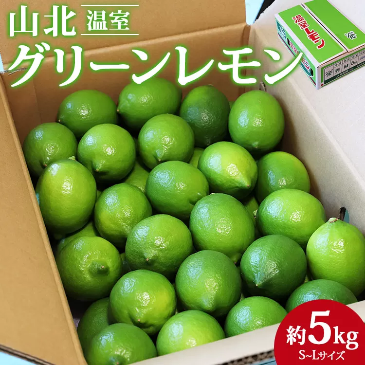 先行予約受付![数量限定]高知県産 山北温室グリーンレモン 約5kg(S〜Lサイズ) - 果物 フルーツ 柑橘 れもん 檸檬 のし対応可 レモン酎ハイ お酒 お菓子 料理 高知県 香南市 ku-0035