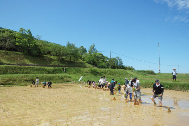 米ヶ岡里山フェス