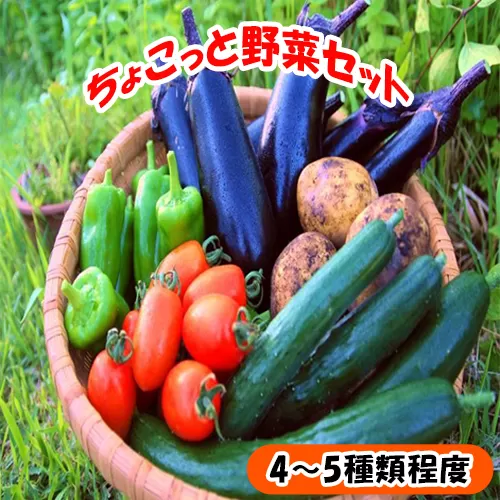 116001　ちょこっと野菜セット