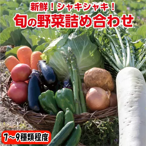 116002　旬の野菜セット