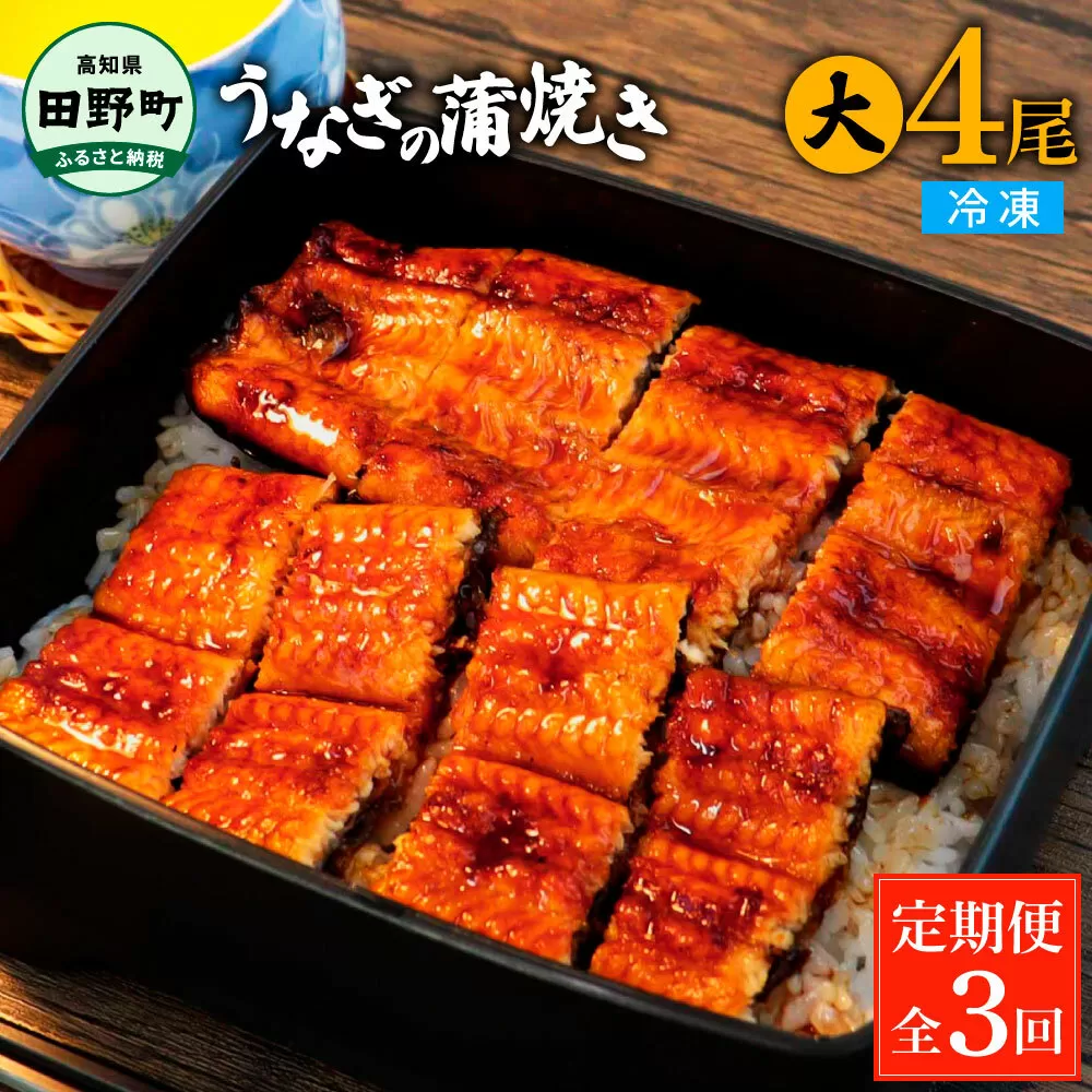 田野町産うなぎの蒲焼き(大) 4尾×3回 定期便 3ヶ月 定期コース 1尾あたり120～150g タレ付き 山椒付き うなぎ 鰻 ウナギ 蒲焼き かば焼き 無頭 おいしい 国産 お取り寄せ 冷凍 配送