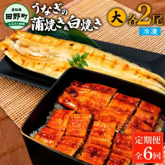 田野町産うなぎの蒲焼き(大)+うなぎの白焼き(大) 各2尾×6回 定期便 6ヶ月 定期コース 1尾あたり120～150g タレ付き 山椒付き うなぎ 鰻 ウナギ 蒲焼き かば焼き 白焼 国産 冷凍 配送