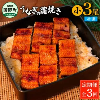 田野町産うなぎの蒲焼き(小) 3尾×3回 定期便 3ヶ月 定期コース 1尾あたり90～120g タレ付き 山椒付き うなぎ 鰻 ウナギ 蒲焼き かば焼き 無頭 おいしい 国産 お取り寄せ 冷凍 配送