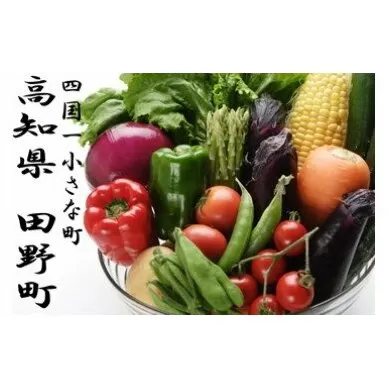 四国一小さな町の特産品詰め合わせセット 野菜 詰め合わせ セット 季節の野菜 旬の野菜 旬 特産 新鮮 田野町 道の駅 サラダ 根菜 やさい お楽しみ 野菜セット 特産品 常温 冷蔵