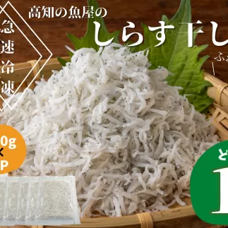 【四国一小さなまち】★カネアリ水産★ふわっふわ！土佐のしらす干し　1kg（約200g×5パック）　しらす しらす干し じゃこ ちりめんじゃこ ちりめん 干し 魚介 魚介類 栄養 栄養満点 離乳食 土佐 海鮮 魚屋 さかな 新鮮 食品 冷凍