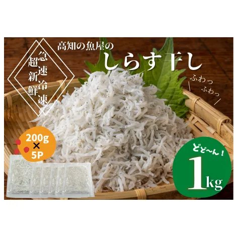 【四国一小さなまち】★カネアリ水産★ふわっふわ！土佐のしらす干し　1kg（約200g×5パック）　しらす しらす干し じゃこ ちりめんじゃこ ちりめん 干し 魚介 魚介類 栄養 栄養満点 離乳食 土佐 海鮮 魚屋 さかな 新鮮 食品 冷凍